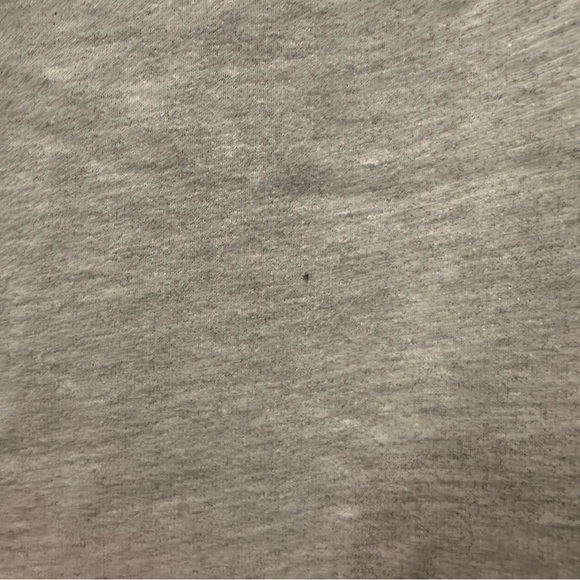 EUC American Eagle Hoodie. Men’s Medium Tall - Picture 5 of 6